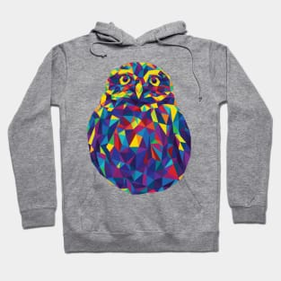 Rainbow Geometric Owl Hoodie